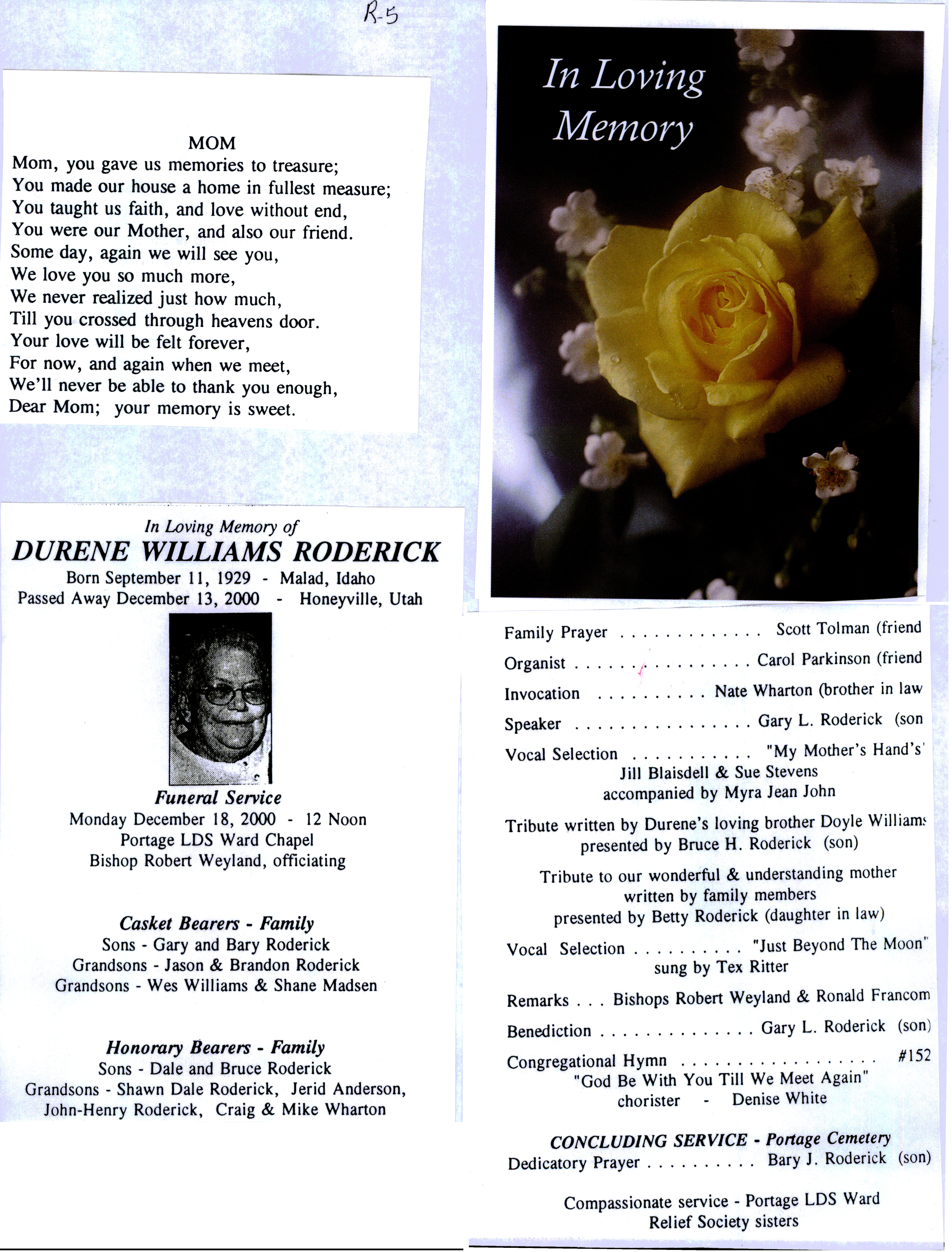 Durene Williams Roderick program