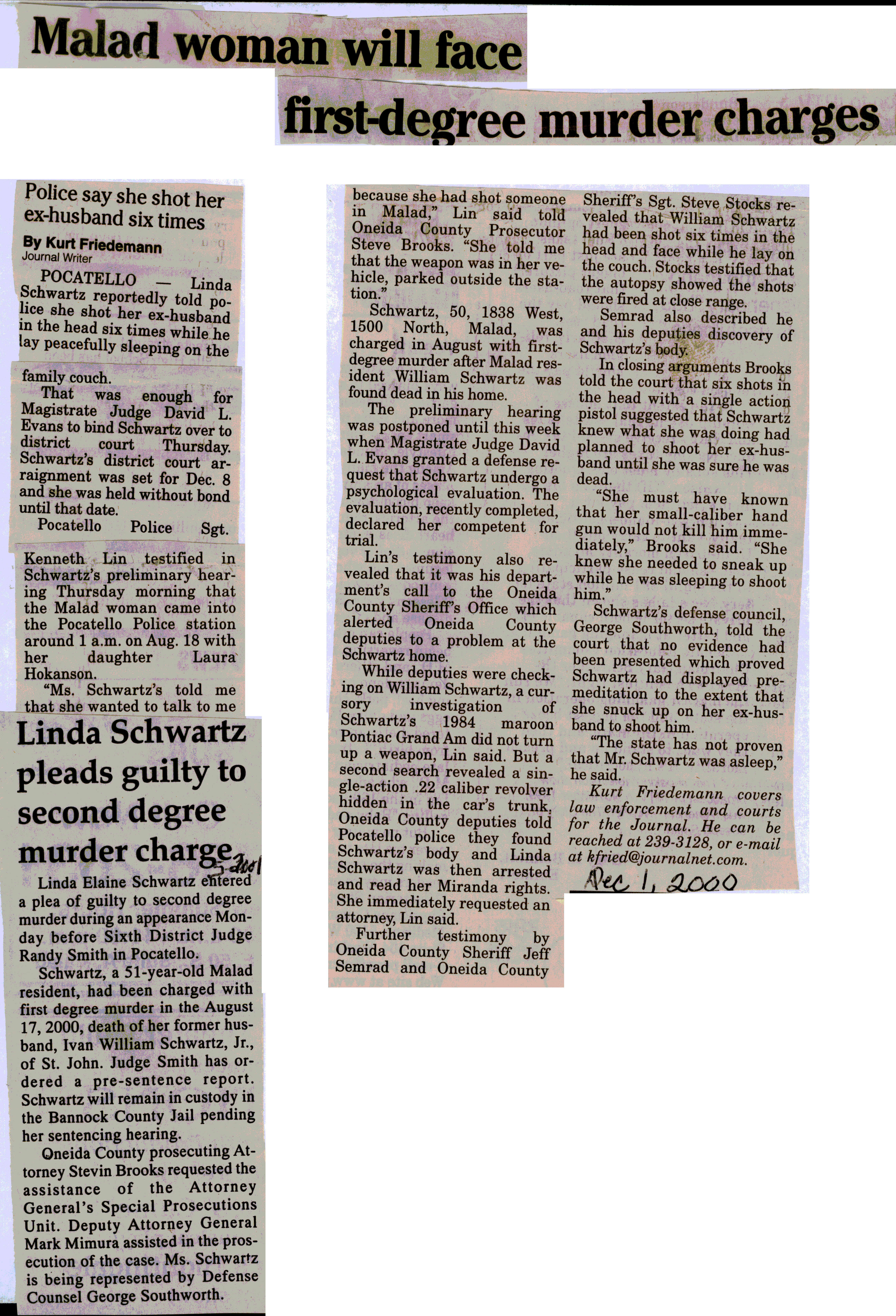 Linda Schwartz murder charge article