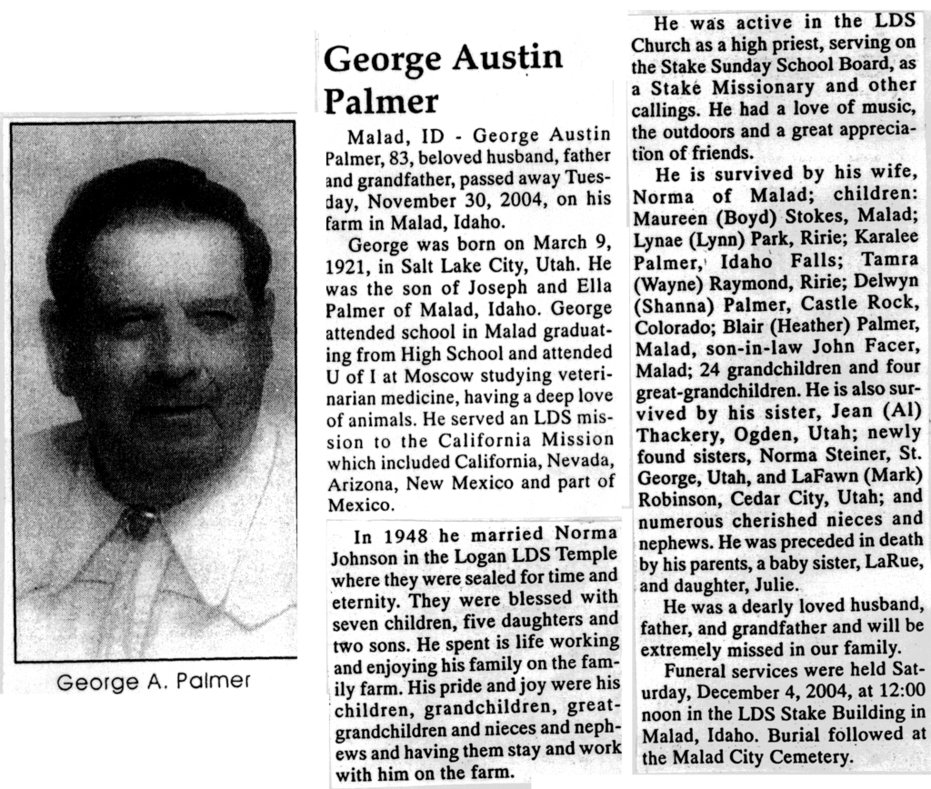 George Austin Palmer obit