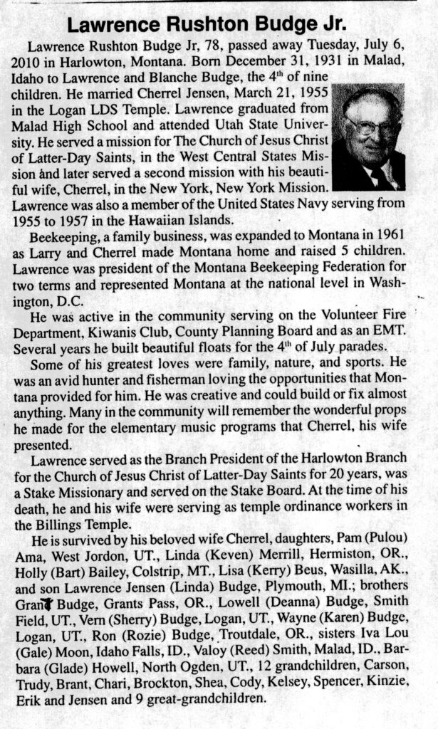 Lawrence Rushton Budge Jr obit