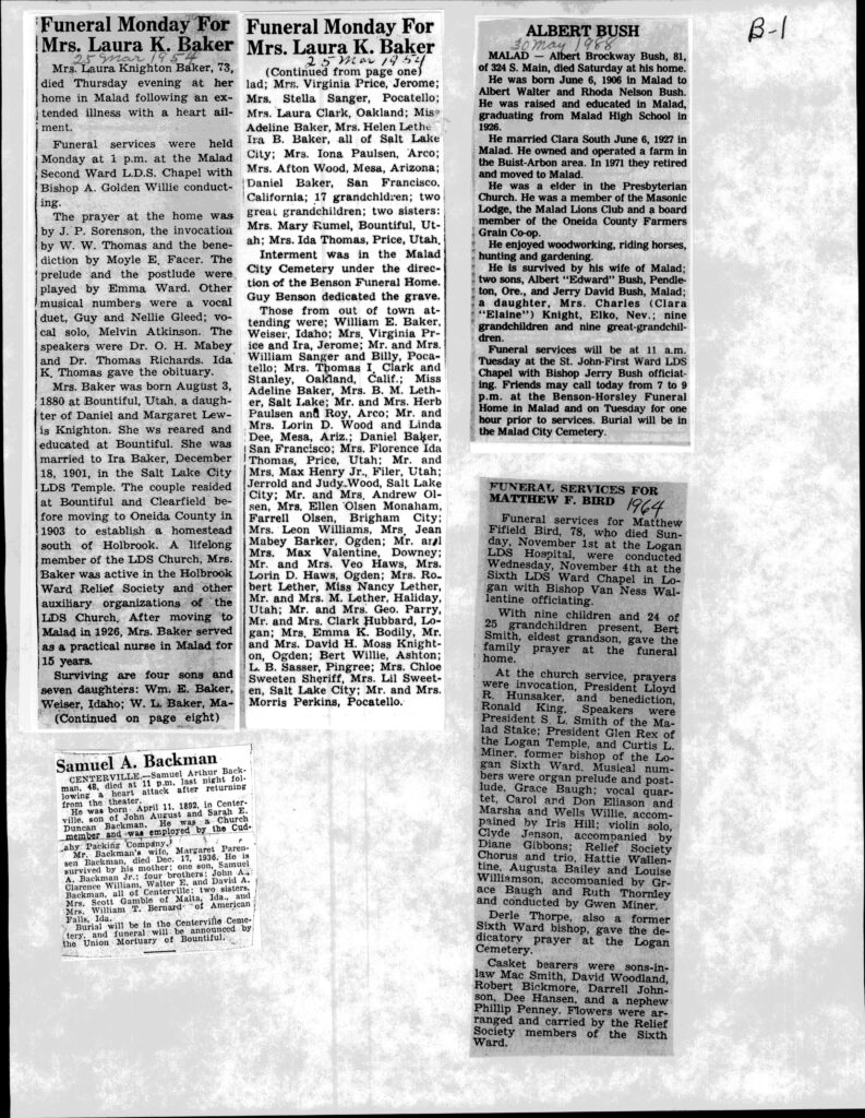 Albert Brockway Bush obit