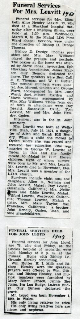 Leavitt, Elizabeth Alice Hendry (04 March 1950)